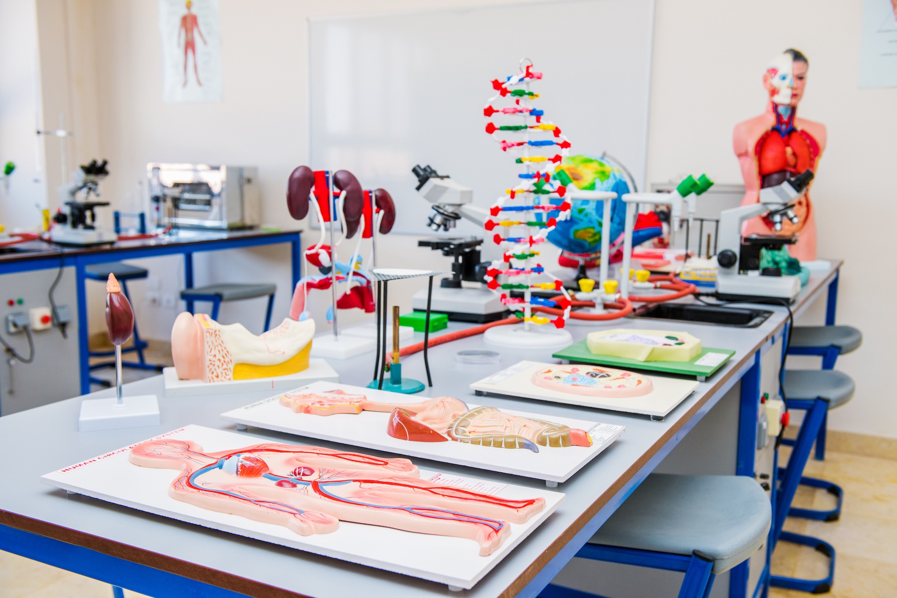 Biology Lab